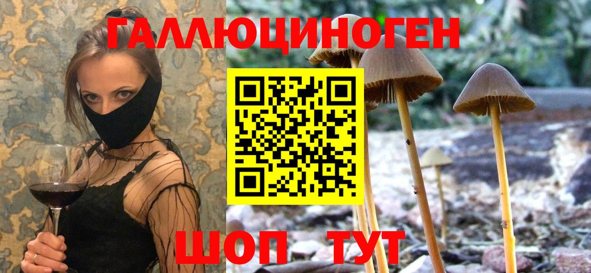 Галлюциногенные грибы MAGIC MUSHROOMS Свободный