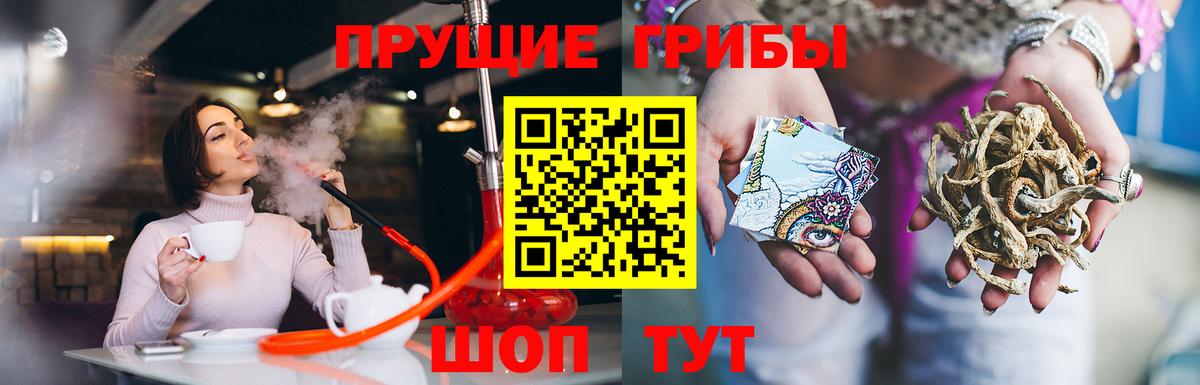 Свободный  Псилоцибиновые грибы Cubensis  Вход с VPN  Псилоцибиновые грибы GOLDEN TEACHER 